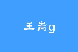 王嵩g