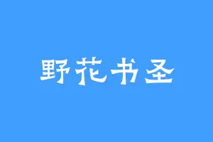野花书圣