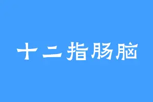 十二指肠脑