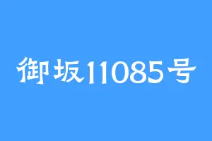 御坂11085号