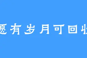 愿有岁月可回收