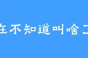 实在不知道叫啥了啊