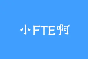 小FTE啊