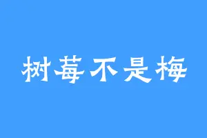 树莓不是梅