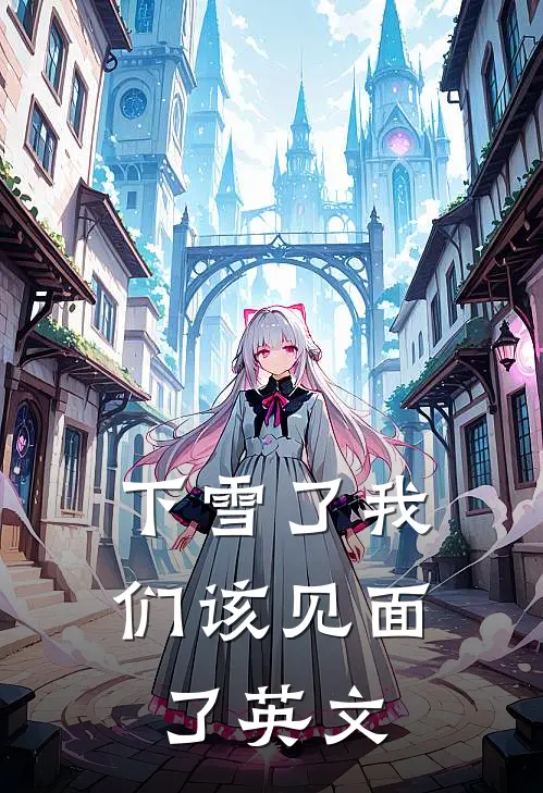 下雪了我们该见面了英文