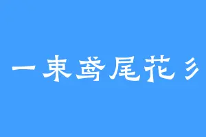 一束鸢尾花彡