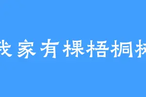 我家有棵梧桐树
