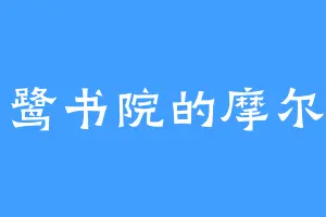 白鹭书院的摩尔菲