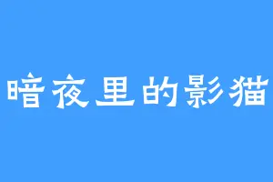 暗夜里的影猫