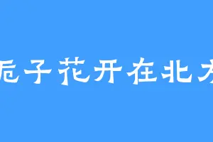 栀子花开在北方