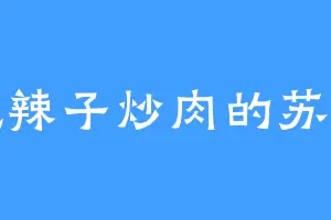 爱吃辣子炒肉的苏长老