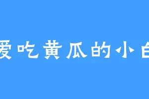 爱吃黄瓜的小白