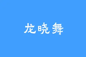 龙晓舞