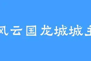 风云国龙城城主