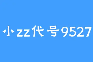 小zz代号9527