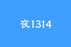 夜1314